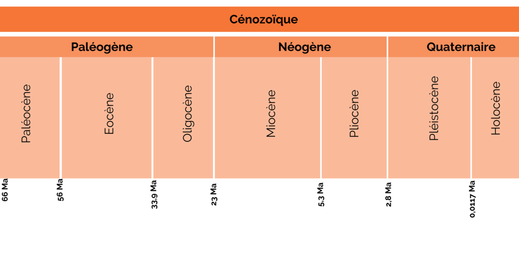 Geological breakdown of the Cenozoic era