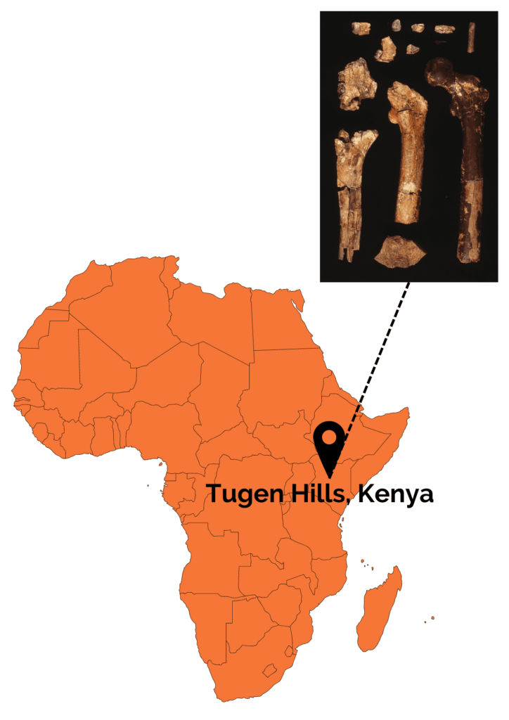 Localisation du site où ont été retrouvé les restes fossiles d'Orrorin tugenensis, l'un des candidats à l'origine de la lignée humaine.