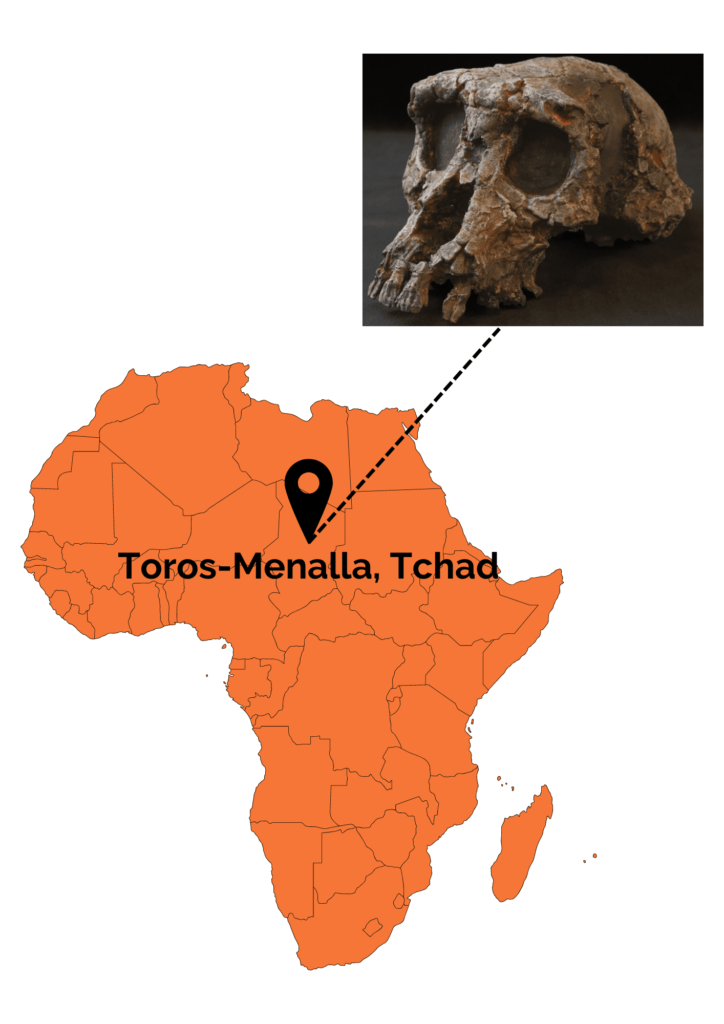 Location of the site where the fossil remains of Sahelanthropus tchadensis, one of the candidates for the origin of the human lineage, were found.